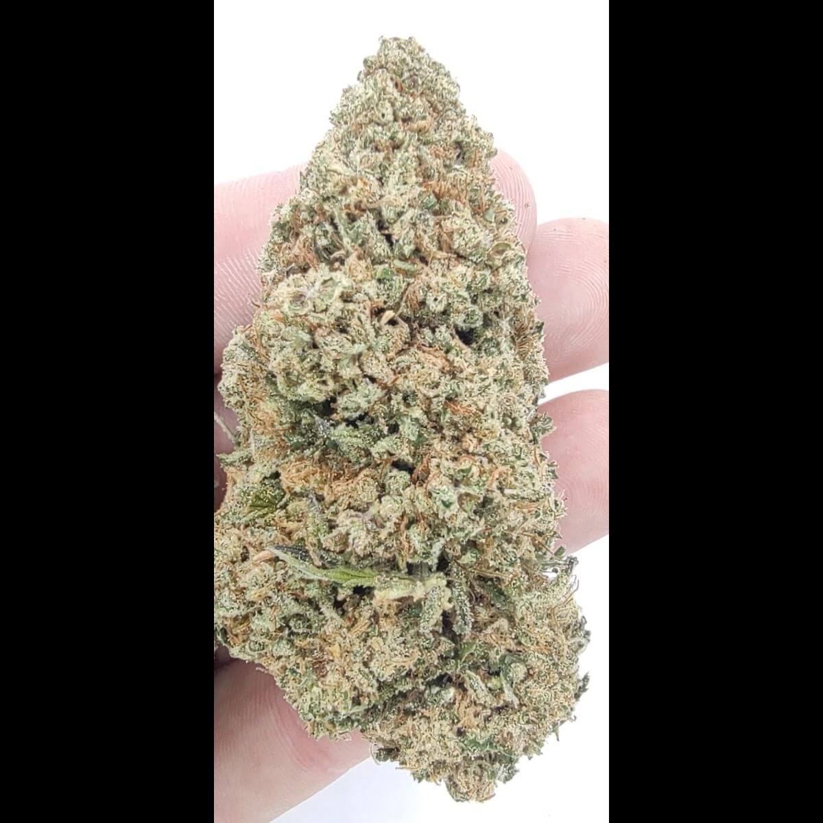 Green Unicorn Farms Allium OG CBD Flower Sativa Hybrid - Image 2