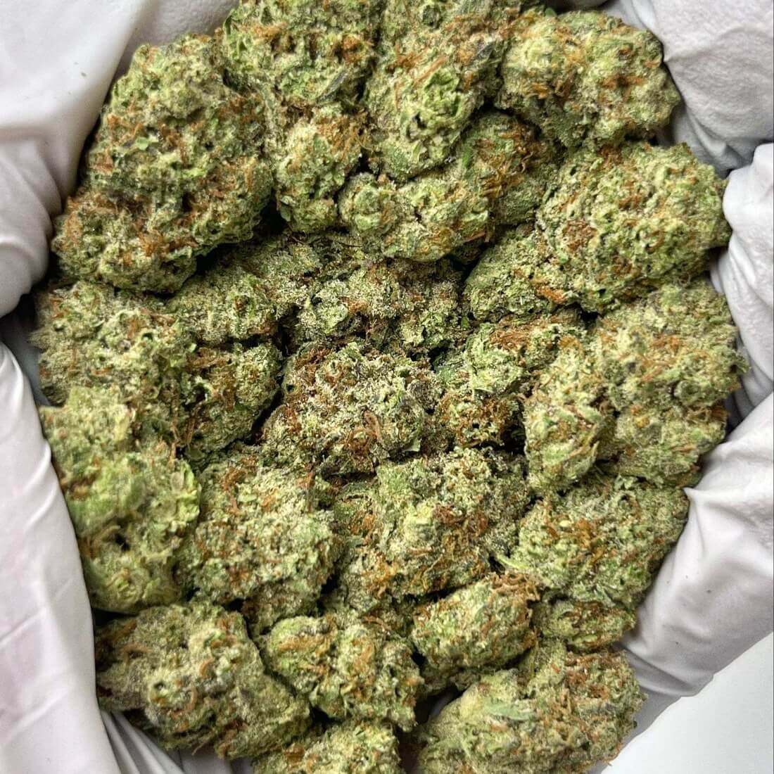 Green Unicorn Farms Animal Mintz THCa Flower Indica Hybrid