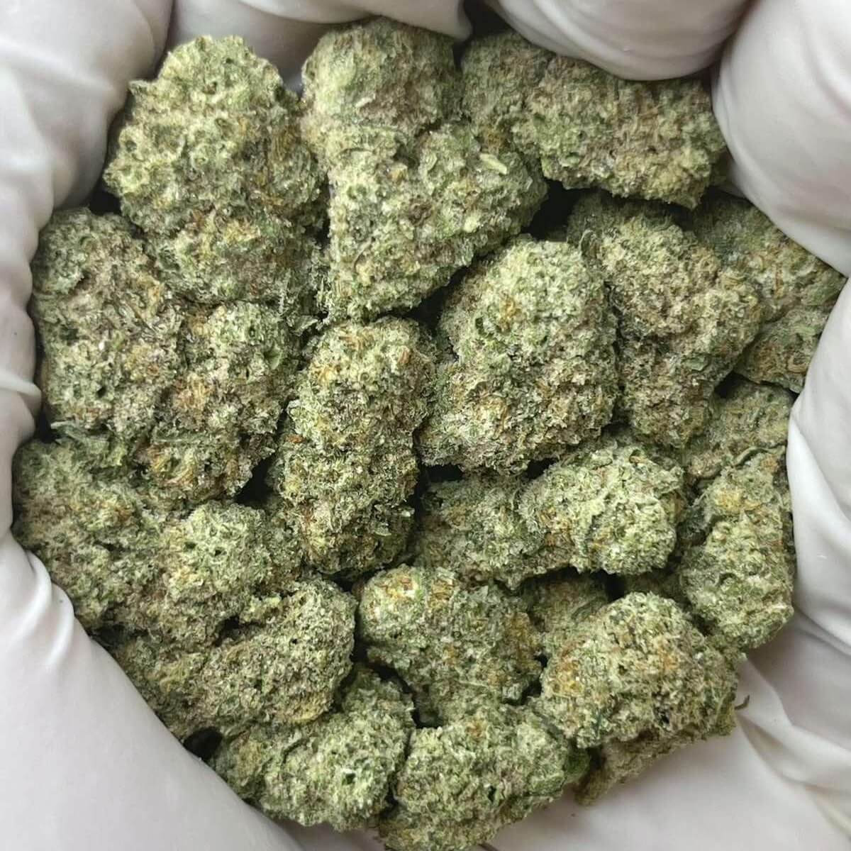 Green Unicorn Farms Black Mamba THCa Flower Indica