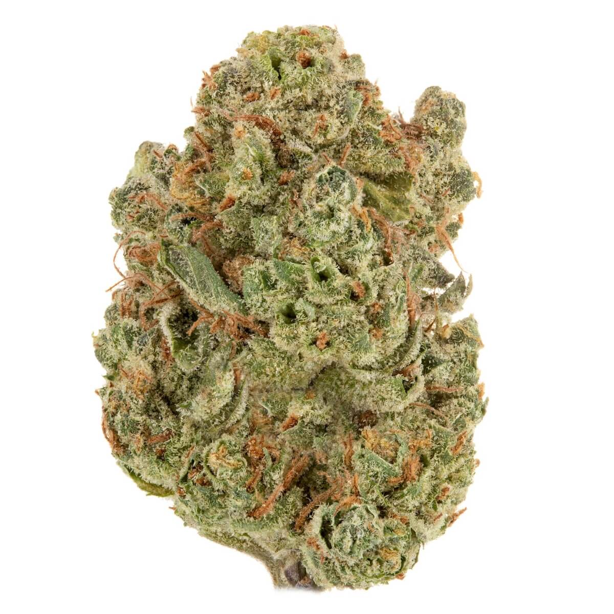Bubba Kush CBD Flower Indica Hemp Strain