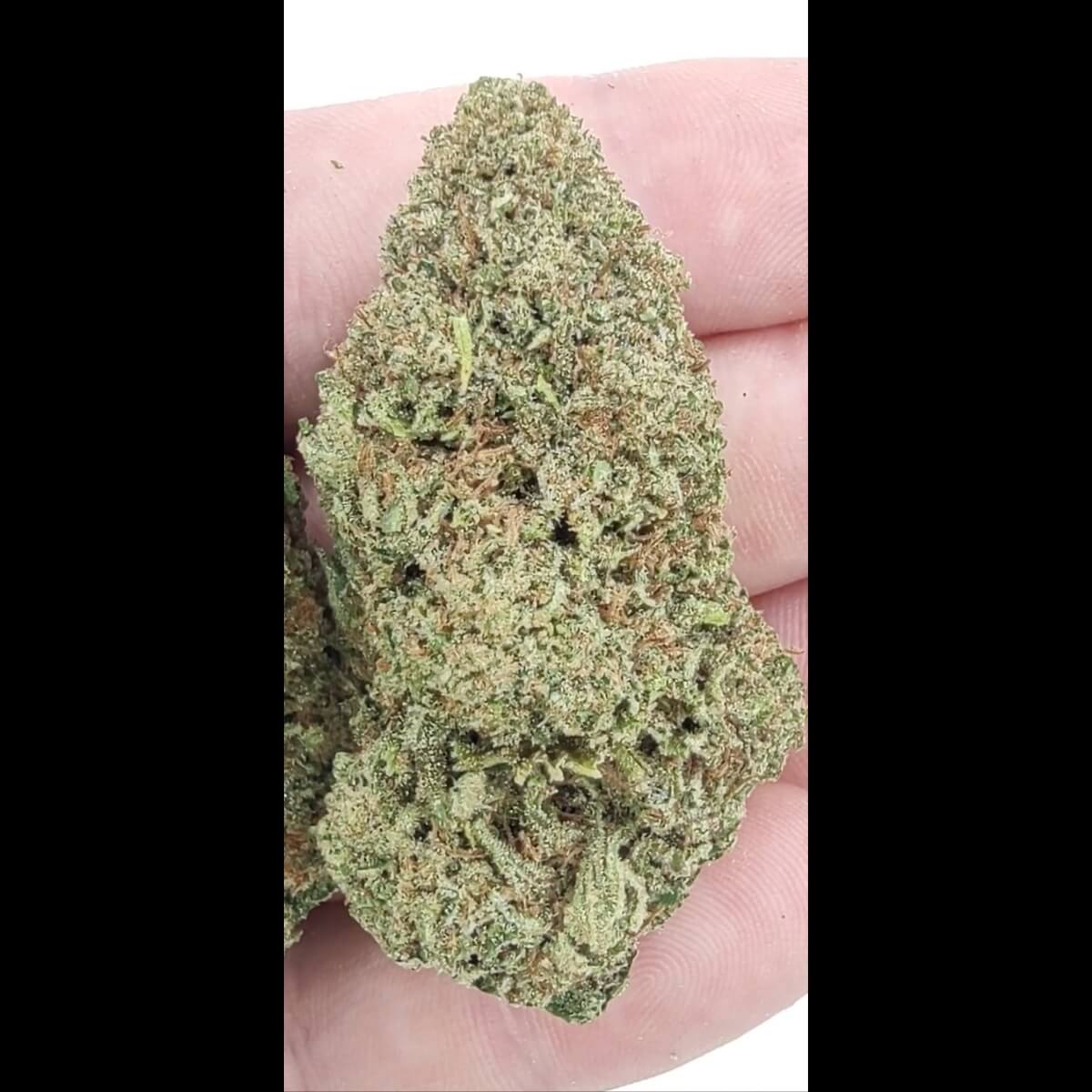 Green Unicorn Farms Critical Berries CBD Hemp Flower Indica - Image 2