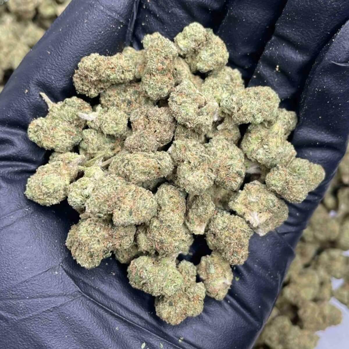 Green Unicorn Farms Indoor THCa Smalls Hemp Flower 14g