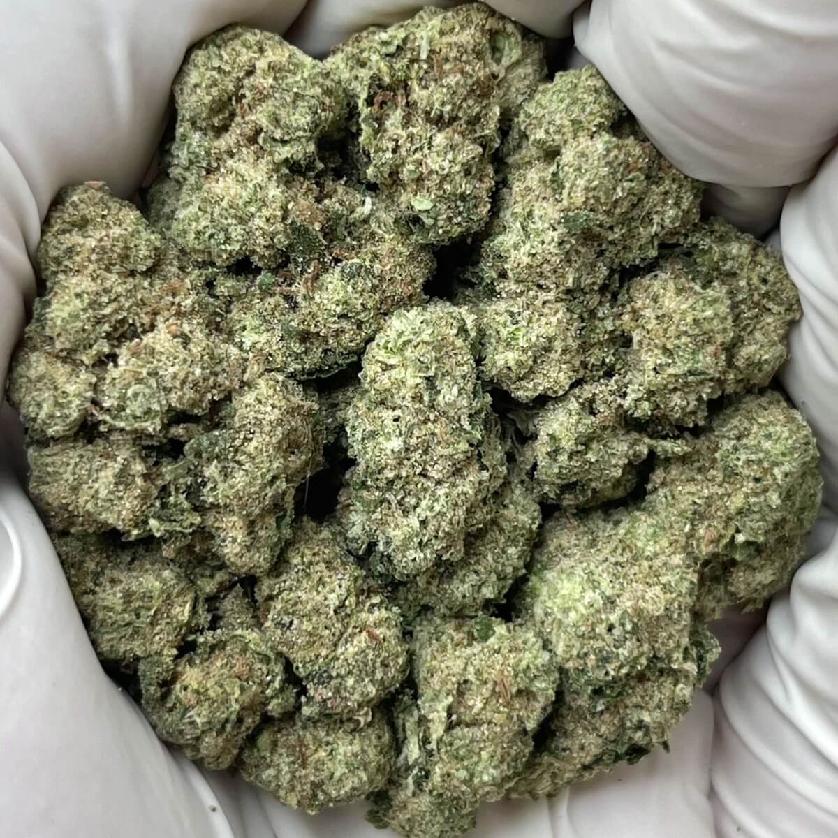 Grape Gas THCa Flower Premium Greenhouse Grown Indica Hybrid