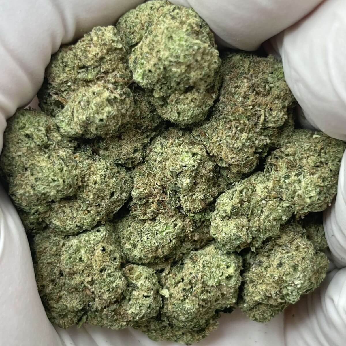 Green Unicorn Farms Ice Cream Cake THCa Flower Greenhouse Grown