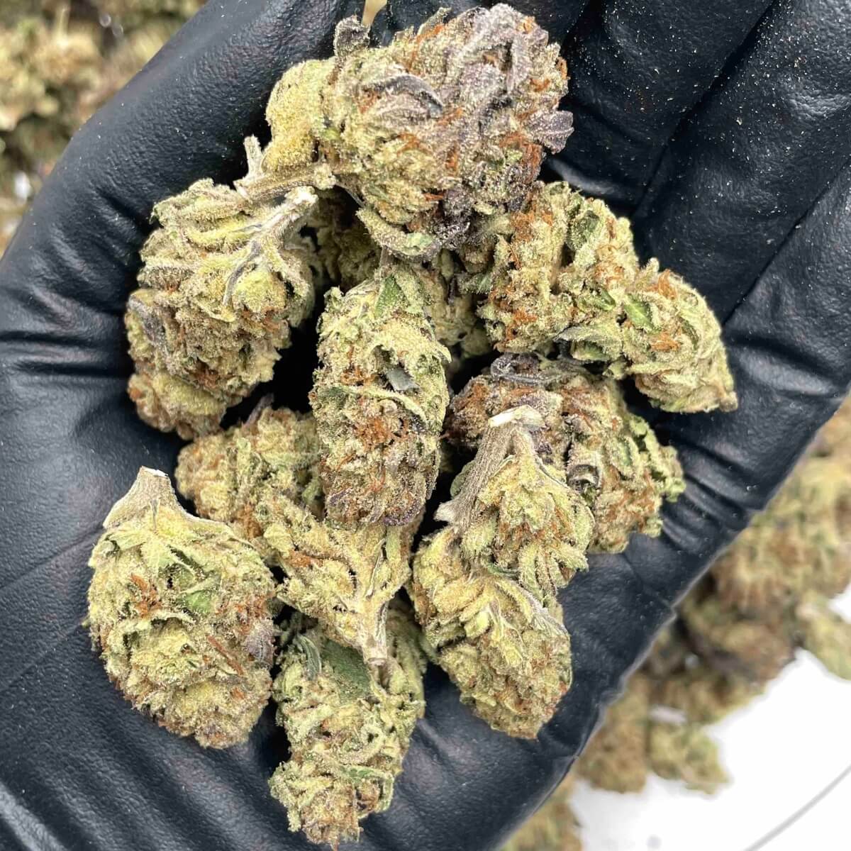 Green Unicorn Farms Illuminati THCa Indica Hybrid Flower