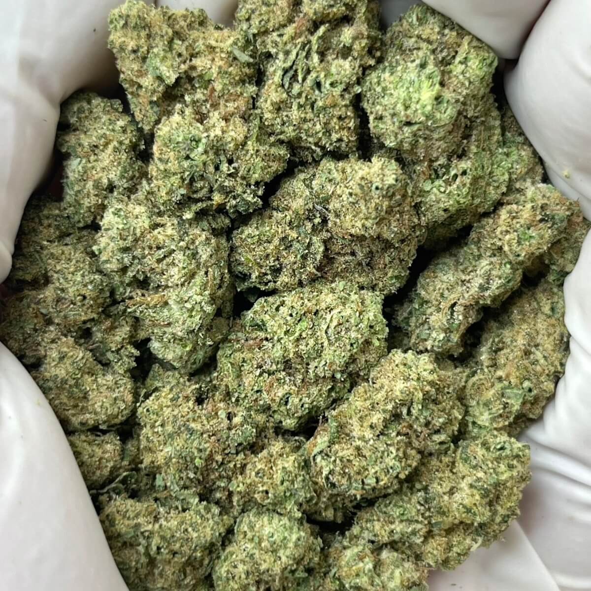 Green Unicorn Farms Juicy J THCa Flower 30.09% THCa