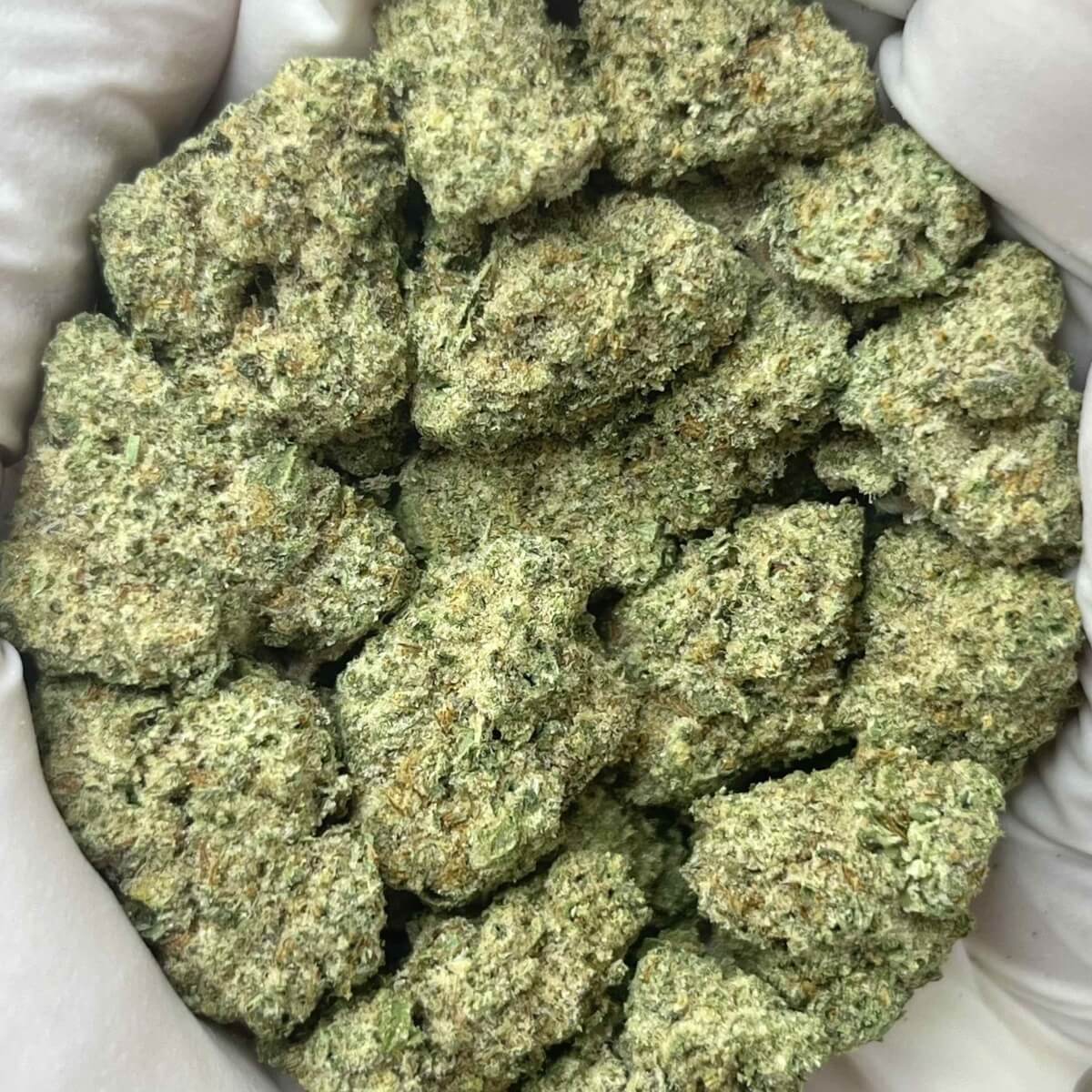 Green Unicorn Farms Oreoz THCa Hemp Flower Greenhouse Indica Hybrid