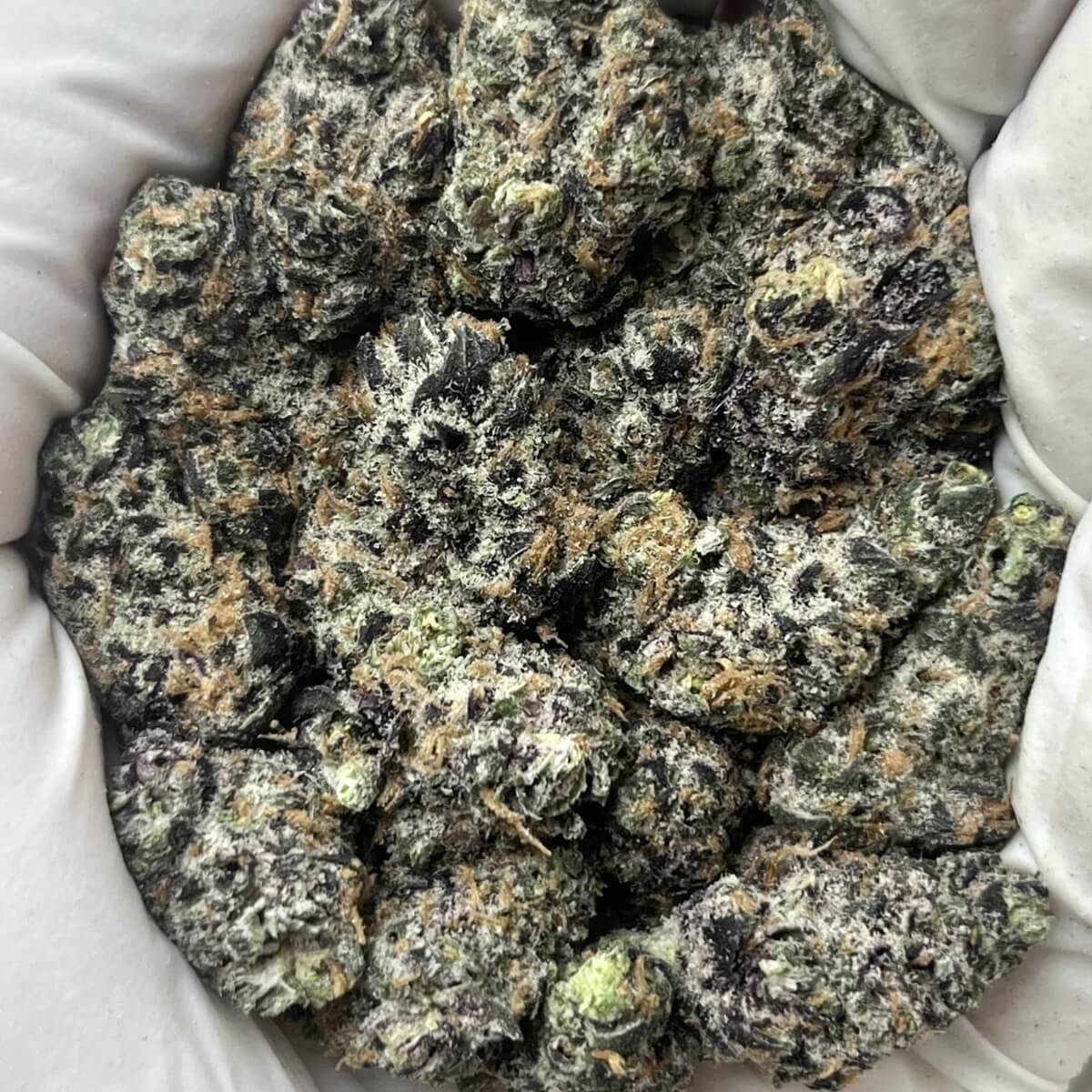 Green Unicorn Farms Peanut Butter Breath THCa Indoor Flower