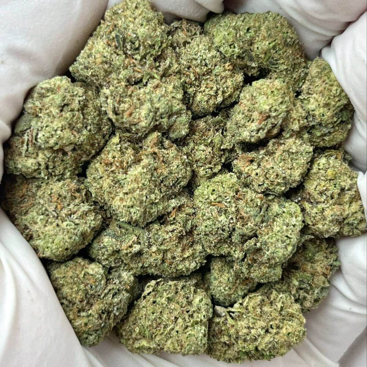 Green Unicorn Farms Pink Ice Runtz THCa Hybrid Flower