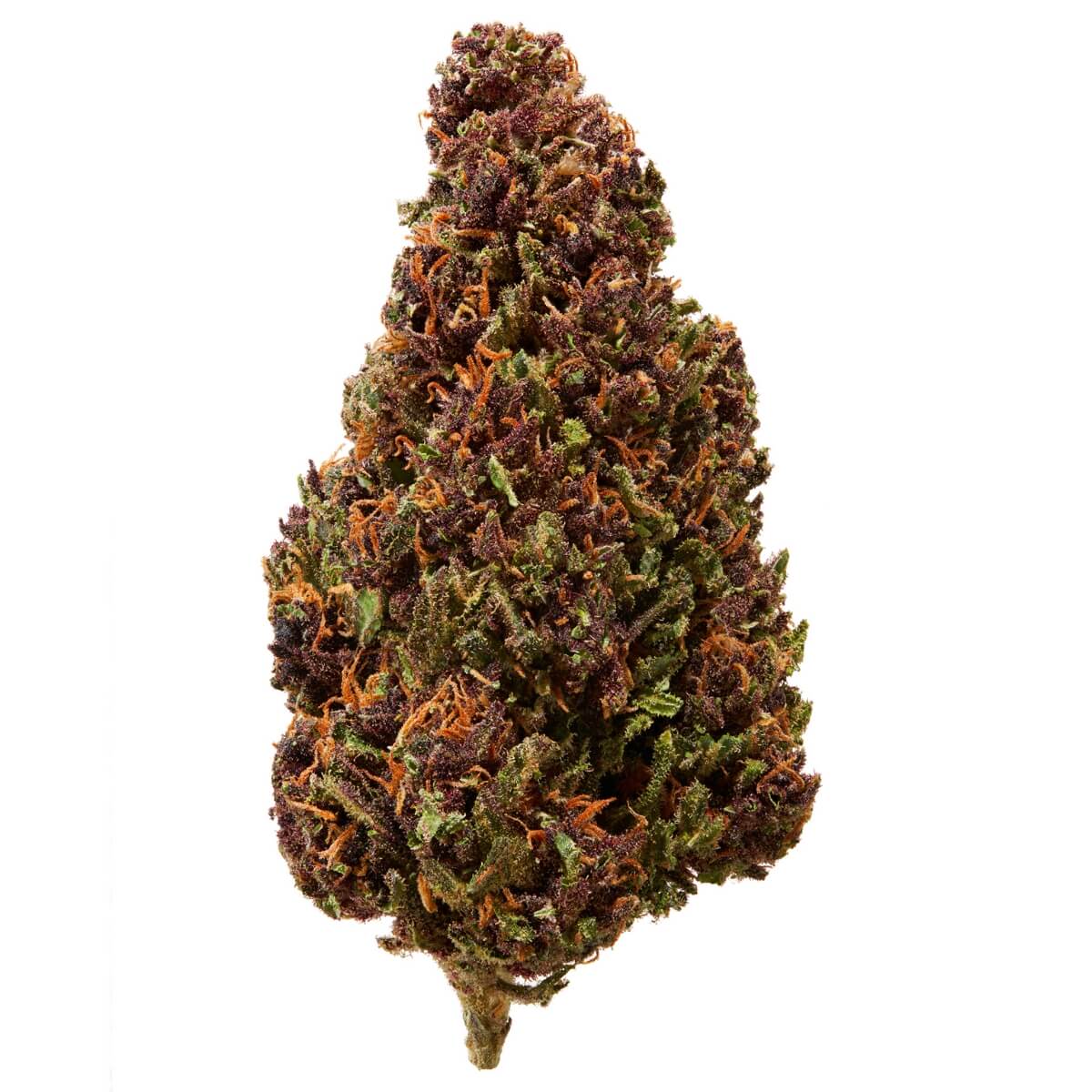 Green Unicorn Farms Orange Fritter CBD Flower Sativa Hybrid