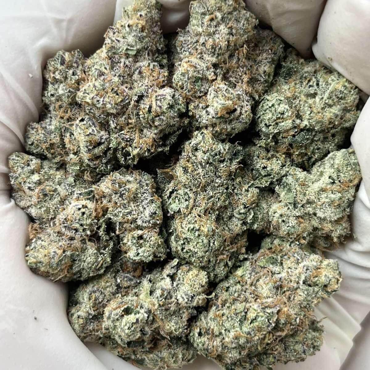 Green Unicorn Farms Secret Cookies THCa Flower Premium Indoor
