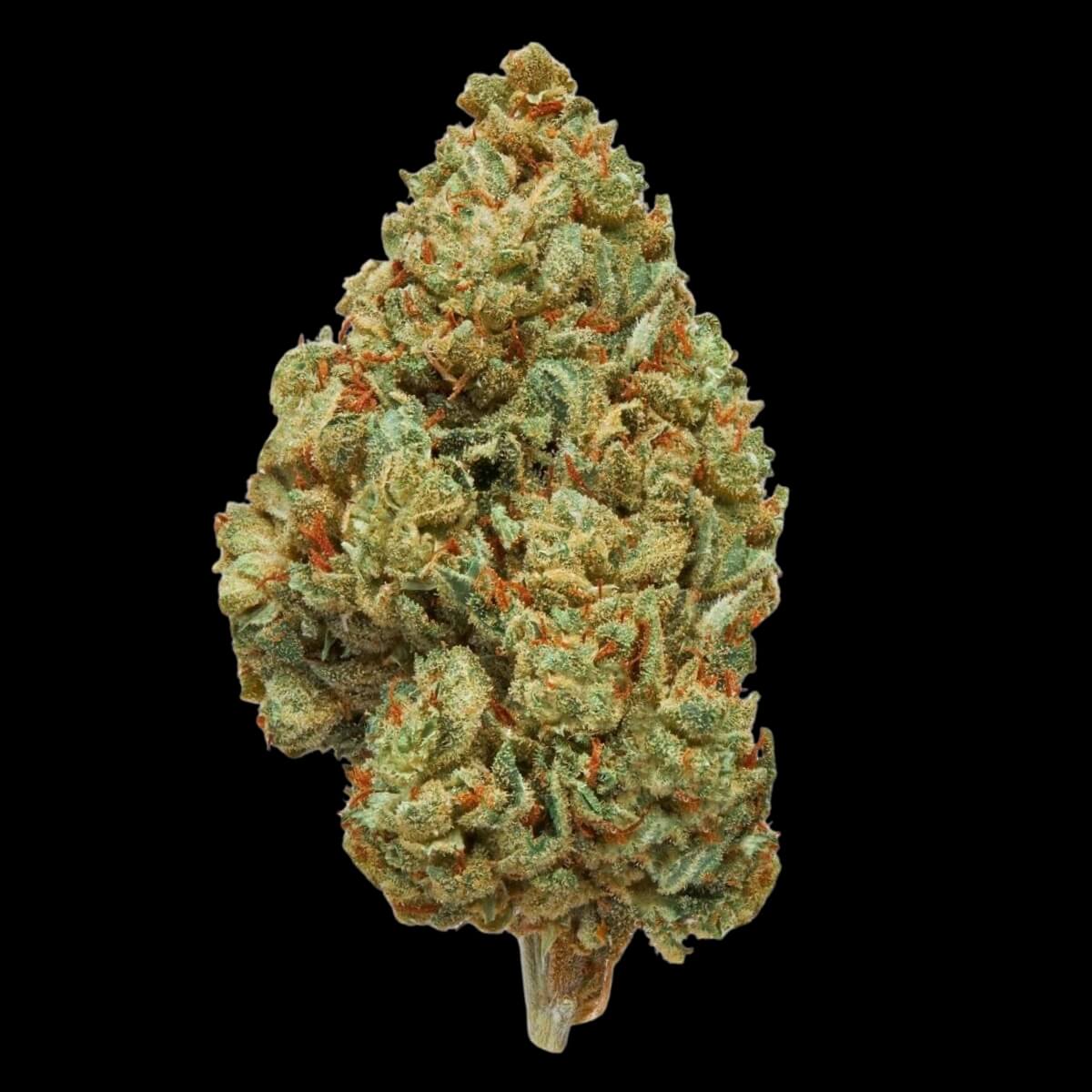 Green Unicorn Farms Build A Bundle THCa Flower 1 Ounce - Image 4