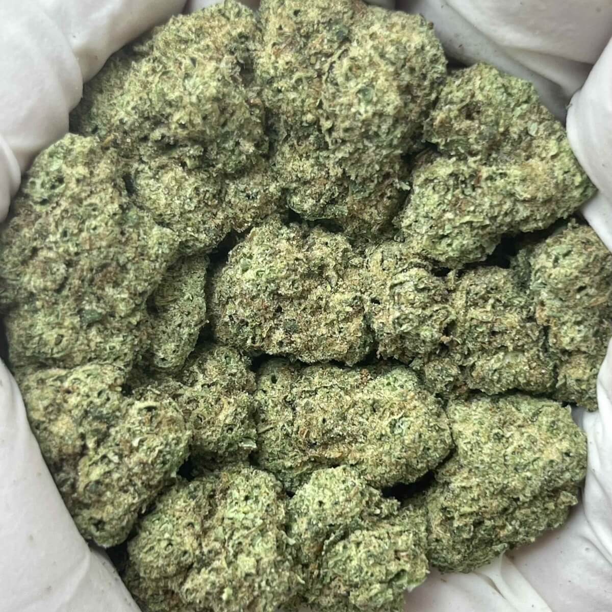 White Runtz THCa Hybrid Flower Greenhouse Grown Premium Quality