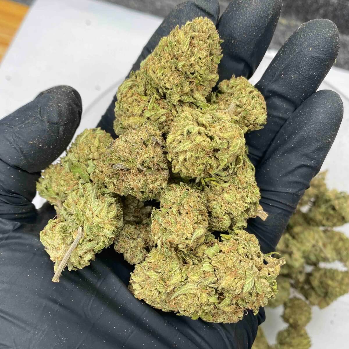Green Unicorn Farms Ztarburst THCa Flower Hybrid Greenhouse Grown